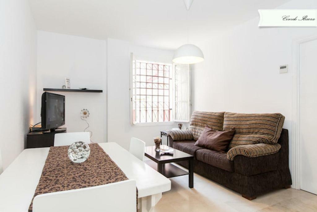 Conde De Ibarra Apartment Sevilla Bagian luar foto